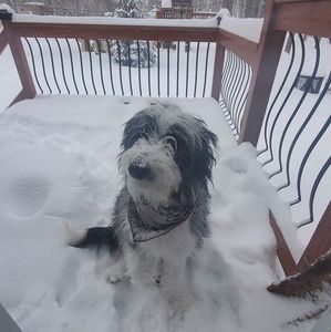 Meet your Posher, Xochitl